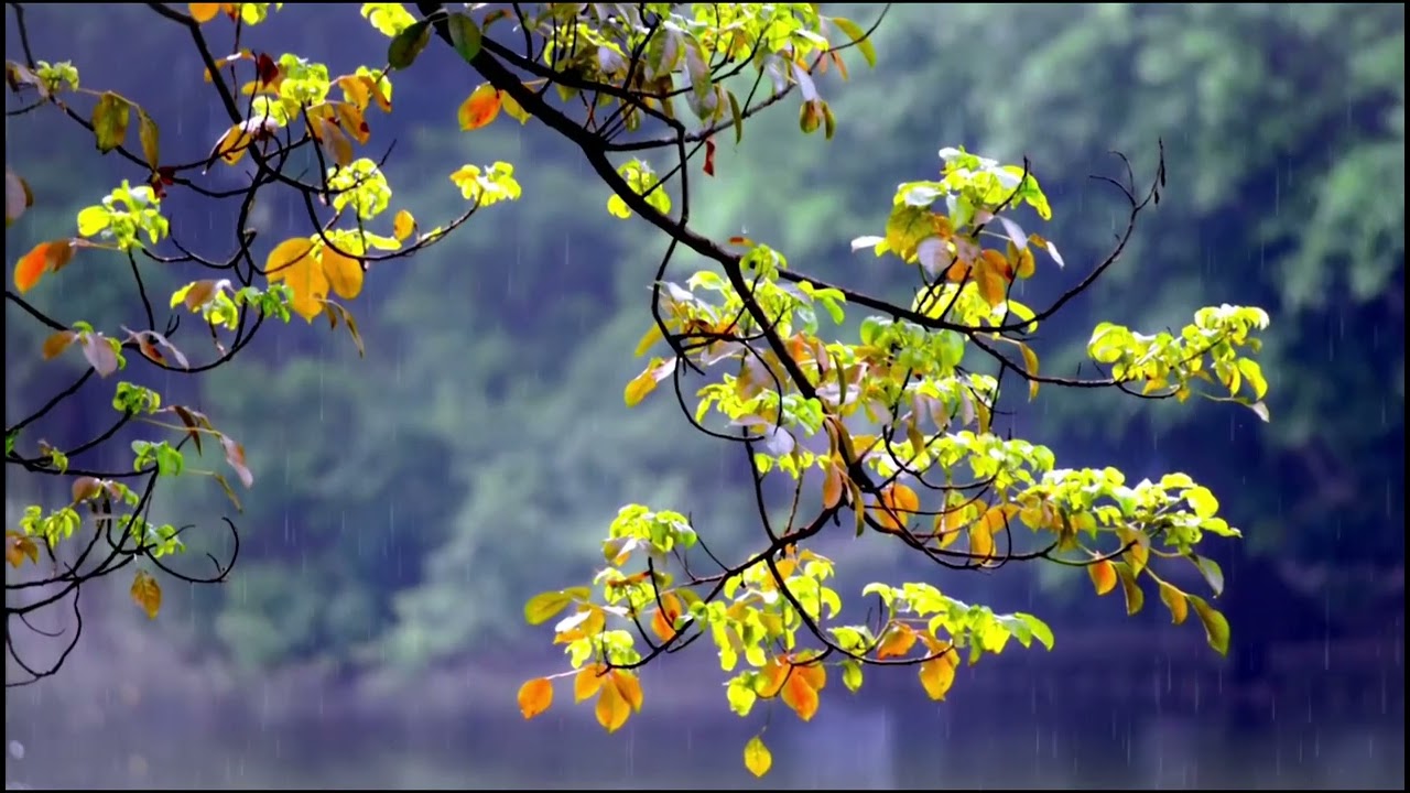 This song of world peace begins with inner peace. Please share it with world leaders who are current