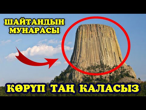 Video: Бразилиядагы Куритибадагы эң мыкты нерселер