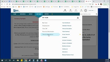 Checking for MISSING PUNCHES - ADP