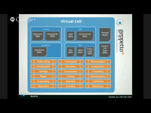 Collaborative Bottom-up Modeling