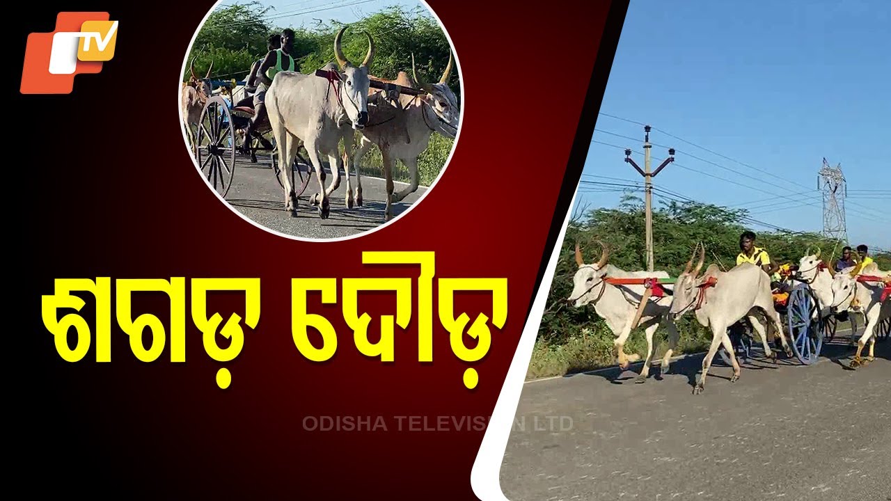Bullock Cart Race Held in Puthur Pandiya Puram Village, Tamil Nadu
