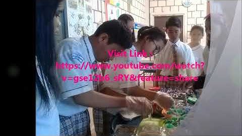 SMK TUNAS MUDA BERKARYA ( YE MYUNG )