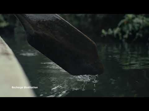 The Amazon Jungle's Unbelievable Secret...You Won't Believe What Happens Next!