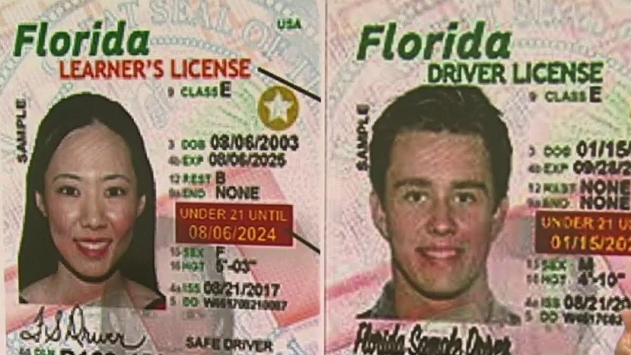 Florida driver's licenses getting new look