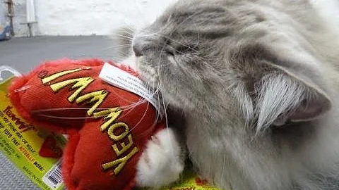 Yeowww Organic Catnip Hearrrt Attack Heart Giveaway Cat Catnip Toys - ラグドール - Floppycats