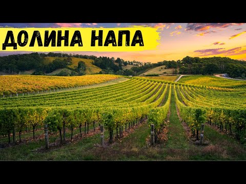 Видео: Винодельня Raymond в долине Напа