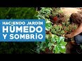 ¿Cómo hacer un jardín húmedo y sombrío?