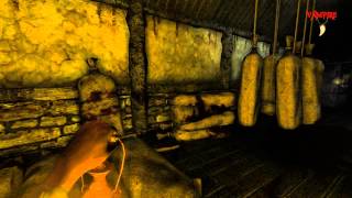 Amnesia: Down the rabbit hole Part 1