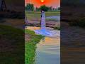 Village | best Village | Village life