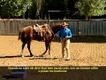 Monty Roberts, 500 vitórias e nove títulos mundiais!