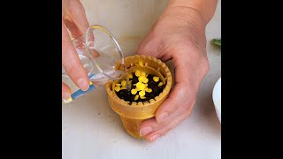 Thumbnail for Indoor plant care hacks for plant lovers 🌿 #shorts #planting #garden #diy #indoor