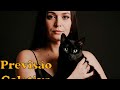 Previsão Coletiva Tarot - 27/10 a 01/11