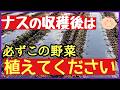 【裏技】ナスの収穫後に植えるだけで収穫量が2倍になる野菜とダメな野菜を全て紹介します