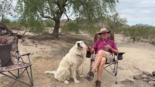 Information First days in Quartzsite  Update
