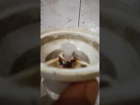 Como reparar un sifón podrido camera iphone 8 plus apk