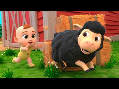 Run and Catch the Black Sheep! | Lalafun Kids Songs