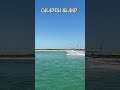 #behere #beachlife #dunedin #discoverdunedin #dunedinflorida #whenindunedin