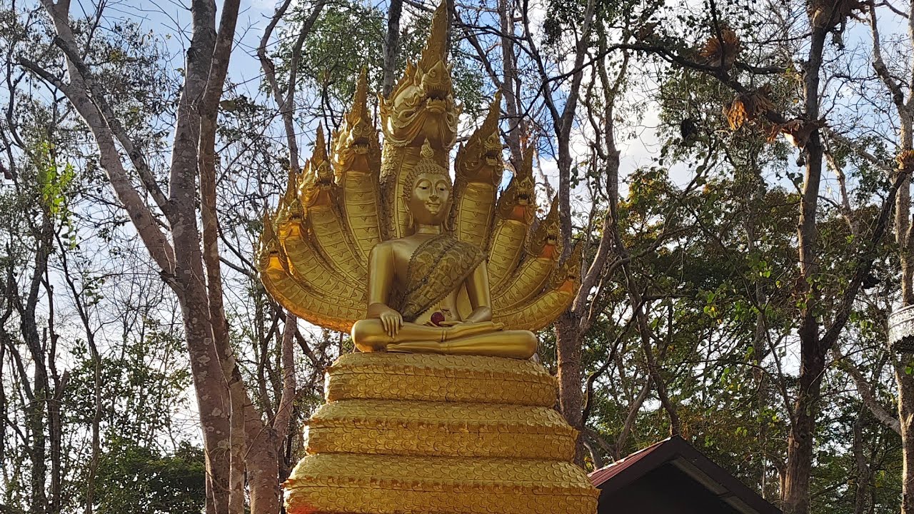 Phimmachack studio กำลังถ่ายทอดสด!