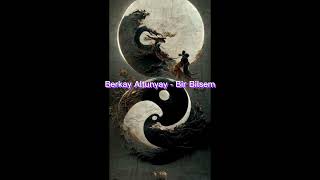 Berkay Altunyay - Bir Bilsem (Speed Up)