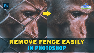 Removed a Fence in Photoshop So You Can Too!