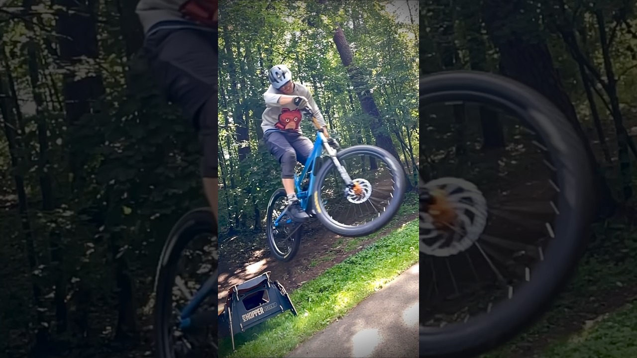 Daily jumps with portable ramp. 