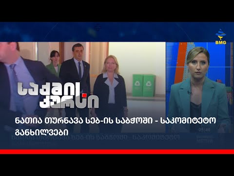 ნათია თურნავა სებ-ის საბჭოში - საკომიტეტო განხილვები