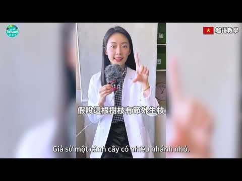 糯米難消化是真的嗎？越文字幕