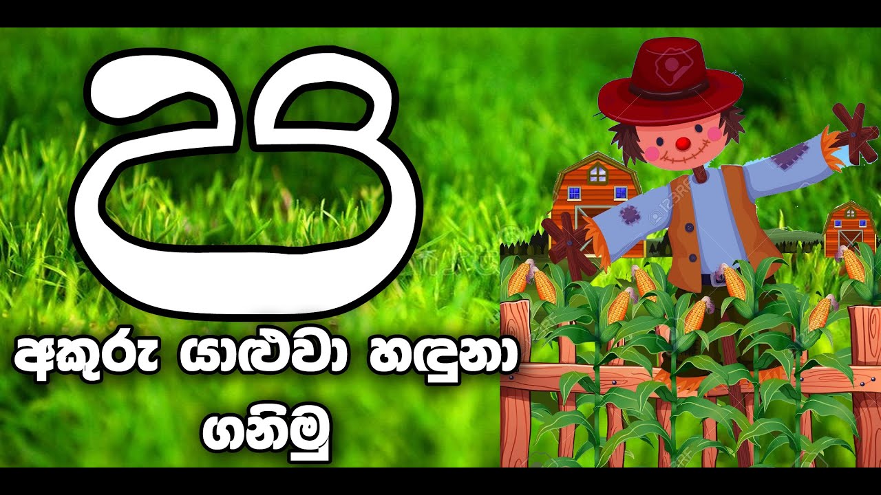 ප අකුර ඉගෙනගනිමු | Sinhala lesson - YouTube