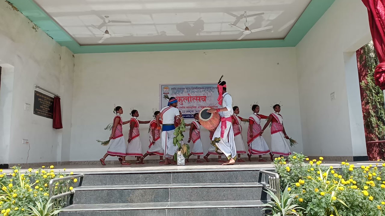 Janki college raigarh dance Shahid nandkumar patel University raigarh