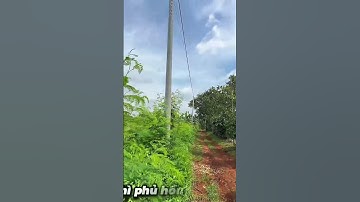 Bán Đất Vườn Cây Ăn Trái Tuyệt Đẹp Ở BR-VT Để Cho Con Cái Đi Du Học Nước Ngoài#shorts #batdongsan