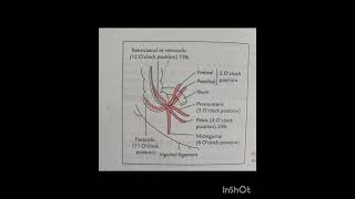 Appendix position