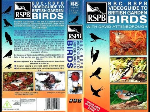BBC RSPB Video Guide To British Garden Birds (1994 Reissue UK VHS)