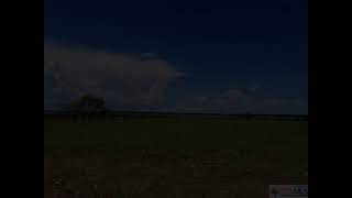 Tract 2 County Rd 226 Road, Gatesville, TX 76528 - Land - Real Estate - For Sale