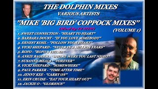 THE DOLPHIN MIXES - VARIOUS ARTISTS - ''MIKE 'BIG BIRD' COPPOCK MIXES'' (VOLUME 1)
