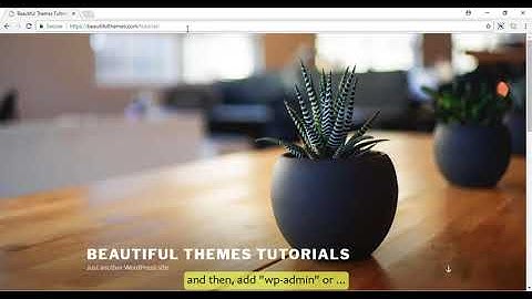 How to find WordPress Login URL: Beginner
