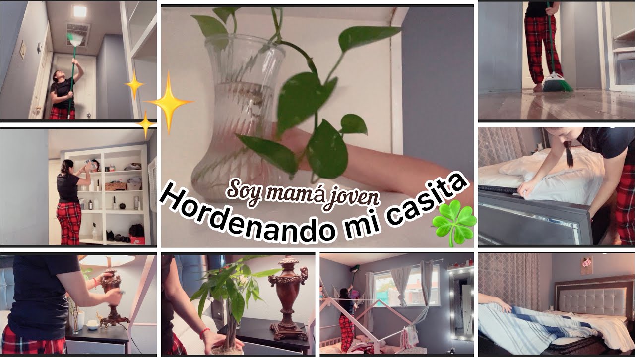 QuédateEnCasa y alimenta conciencia preparando un germinador, esto puede  ser una experiencia muy interesante, tanto para los más pequeños de la  casa