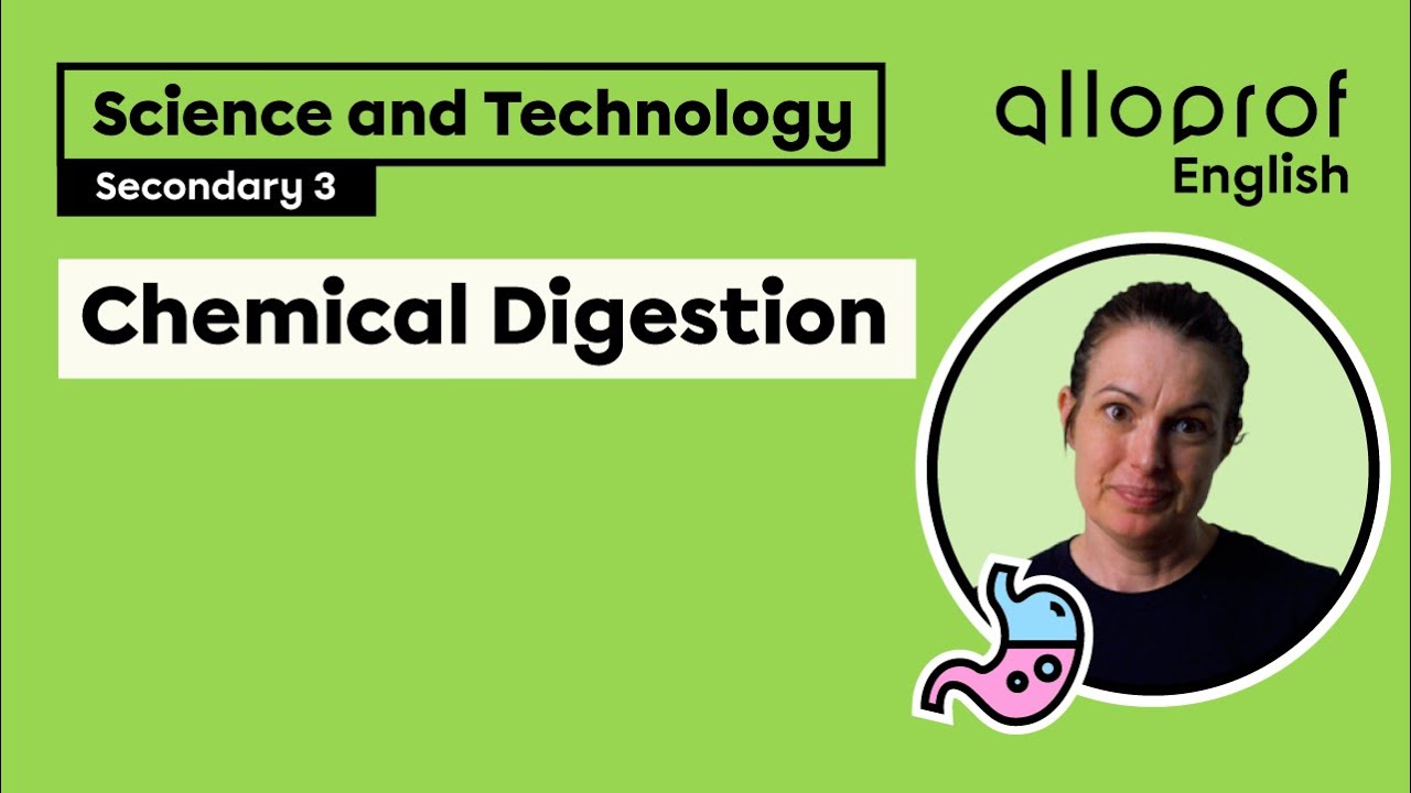 Chemical Digestion | Science and Technology | Alloprof