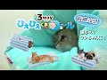 ３WAY　ひえひえくまさんロール