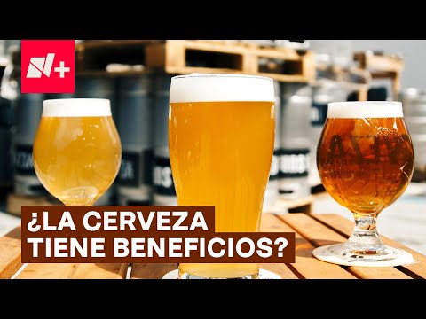 ¿La cerveza tiene