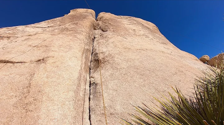 Looney Tunes  5.9   -  Joshua Tree National Park  ...