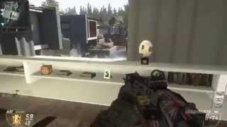 INSANE ALL PRO WINDOW SHOT ON RAID!
