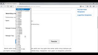 Bebek Boyu Hesaplama Aracı Gebelikte Anne Karnında Ve Sonrası