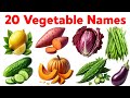 20 सब्जियों के नाम | Vegetable Name In Hindi And English | Vegetable Name With Pictures Animation