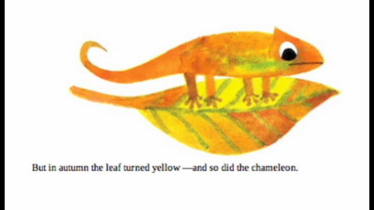 A Color of His Own Book Nook Story Time (Read Aloud) YouTube