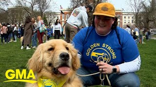Golden retrievers meet up ahead of 2024 Boston Marathon to honor late marathon dog