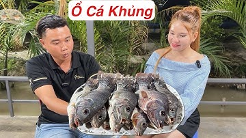 Câu Cá Dính Thấy Mê, Câu Cá Nướng Ăn Cùng Anh Em Ngon Hết Sẩy / Công Thức TV
