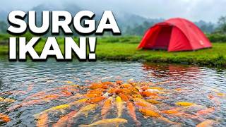 FISH PARADISE AT WATU GAMBIR CAMPING PARK #KARANGANYARTOURISM