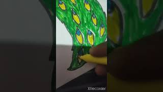 #peacock wall stiker #art with shlok #peacock wall stiker #art with shlok