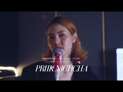 หลุมอากาศ (Original PALMY) cover by Priik Nichcha
