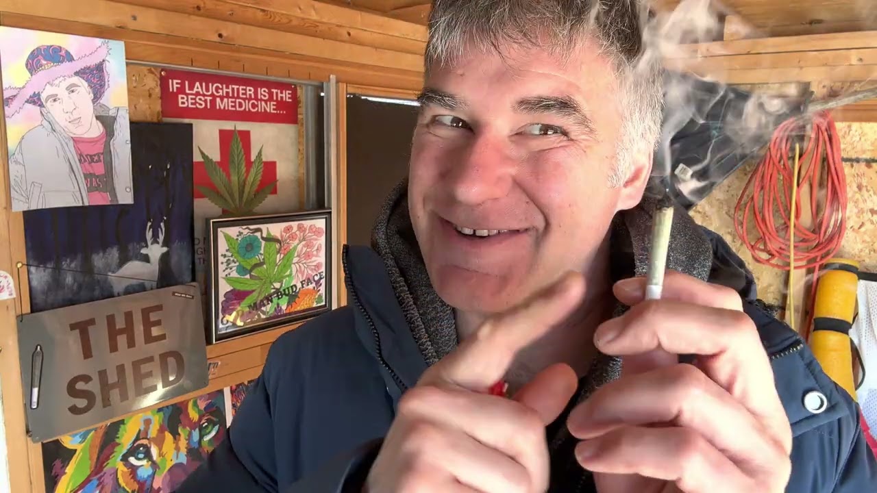 2023 03 19 The Shed! with Eastcann Dirty Banana 3x0.5g